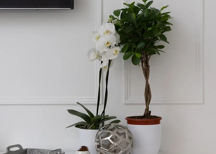 Apartment Tanner Row *